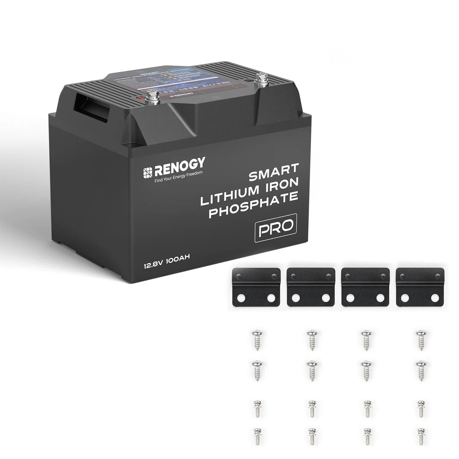 Pro - Renogy 12V 100Ah Smart Lithium Iron Phosphate Battery w/Bluetooth & Self-heating Function