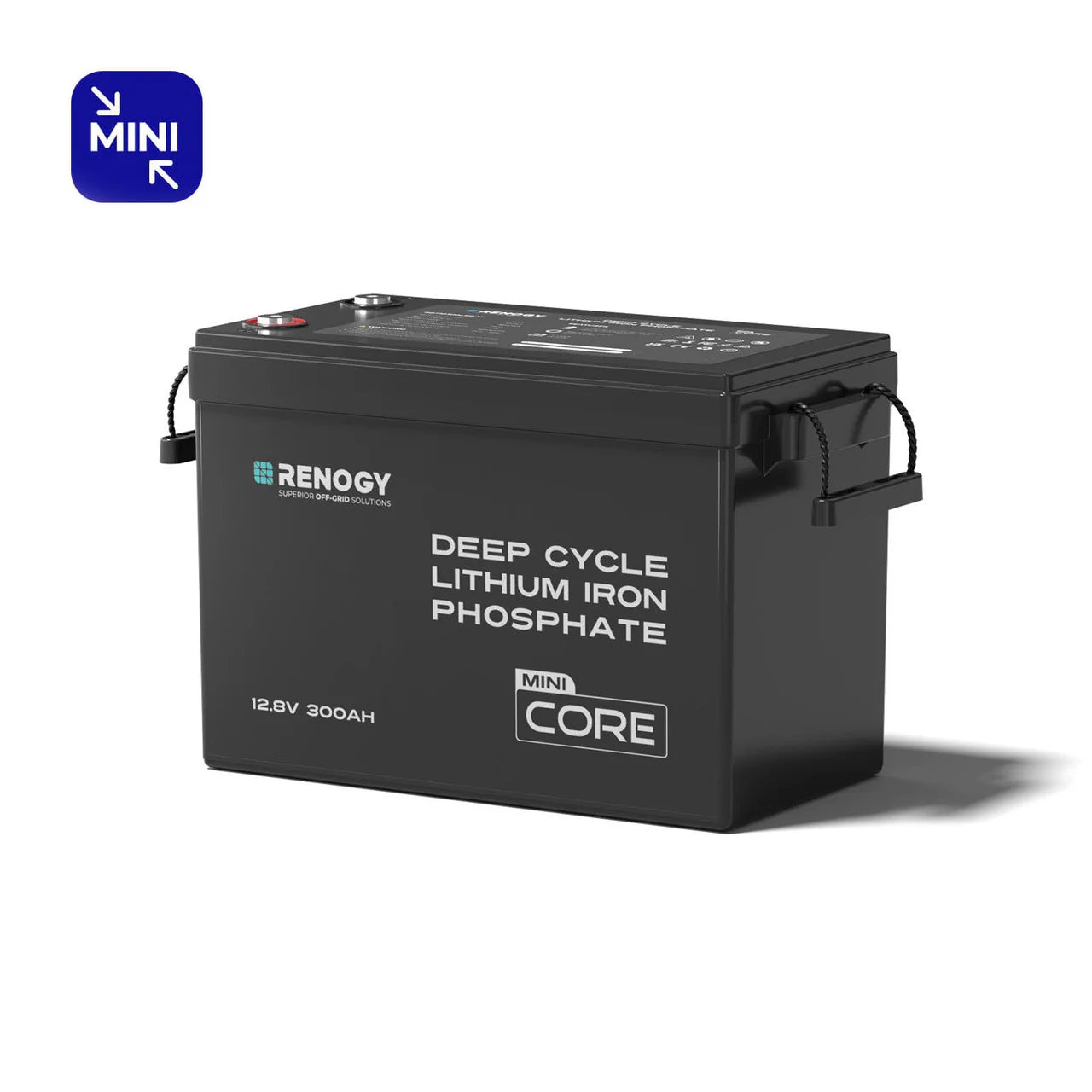 Core Mini - Renogy 12.8V 300Ah Lithium Iron Phosphate Battery w/ Low-Temperature Protection